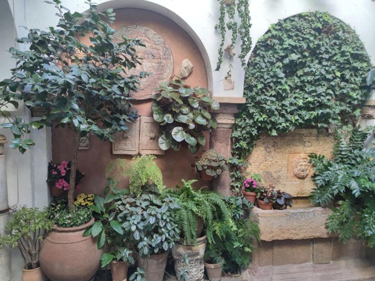 El Capricho De San Fernando, Consigna Gratis Y Parking A 200Mts Apartment Кордоба Екстериор снимка