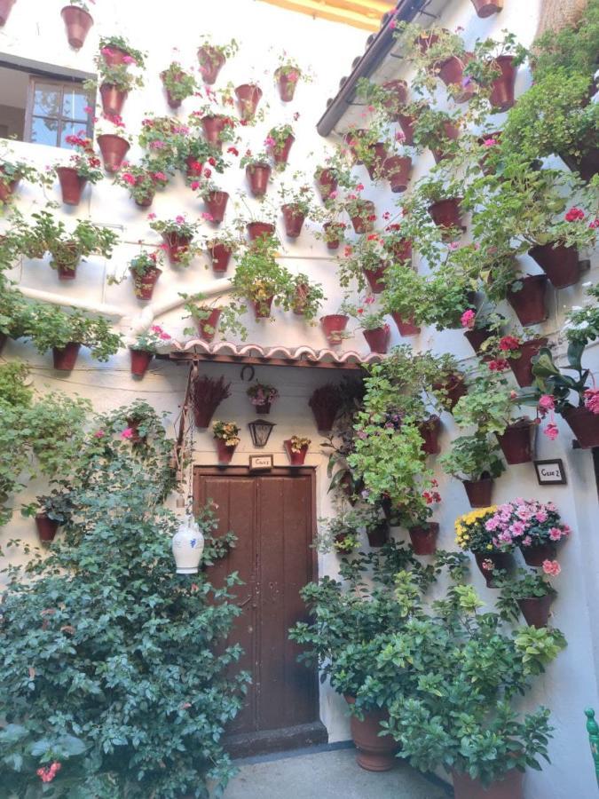 El Capricho De San Fernando, Consigna Gratis Y Parking A 200Mts Apartment Кордоба Екстериор снимка