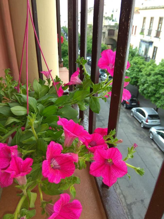 El Capricho De San Fernando, Consigna Gratis Y Parking A 200Mts Apartment Кордоба Екстериор снимка